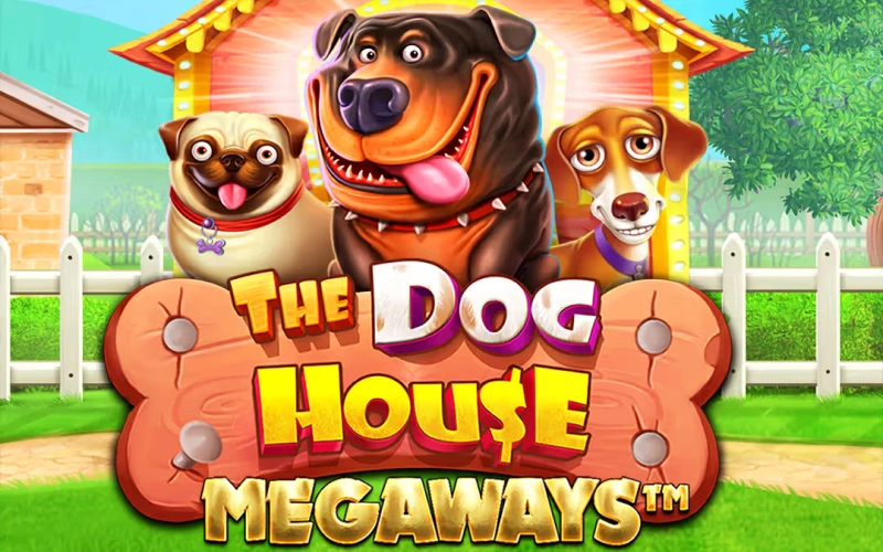 Play the popular The Dog House Megaways with thousands of ways to win at Lucky Star.