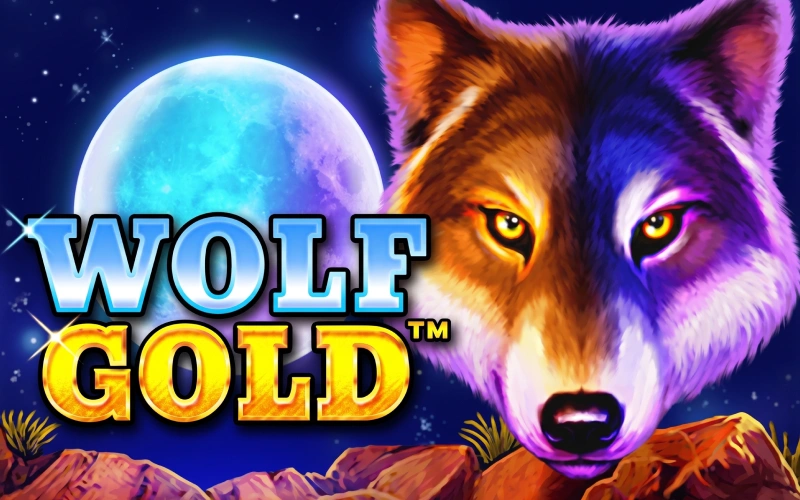 Try the desert themed Wolf Gold slot on official Lucky Star.